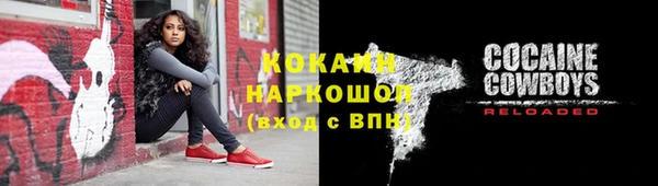 крисы Белоозёрский