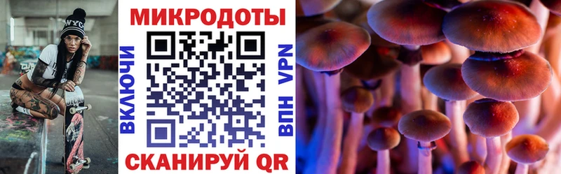 МЕГА ТОР  Бирюсинск  Псилоцибиновые грибы Psilocybe 